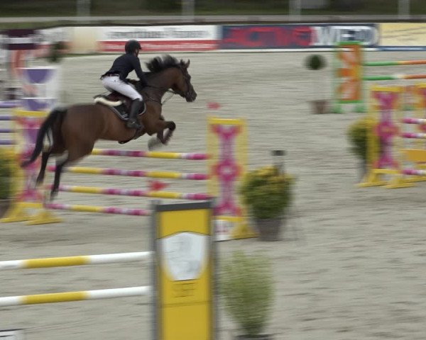 Reitturnier Westergellersen 2021