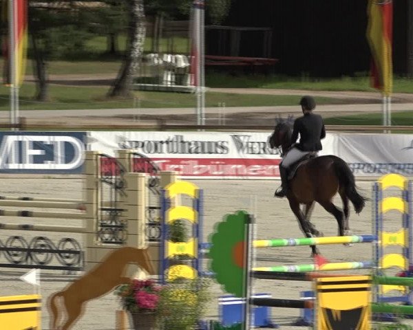 Reitturnier Westergellersen 2021