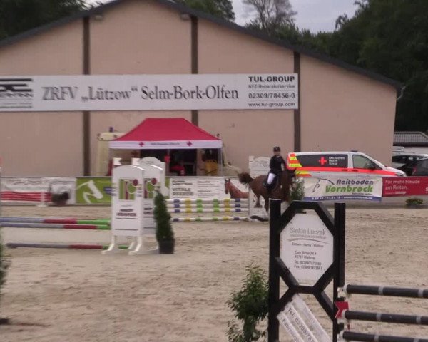 Pony- und Juniorenturnier Olfen 2021