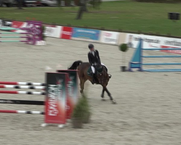 Reitturnier Westergellersen 2021