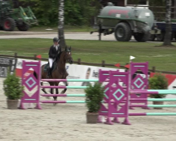 Reitturnier Westergellersen 2021