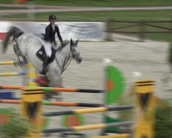 Reitturnier Westergellersen 2021
