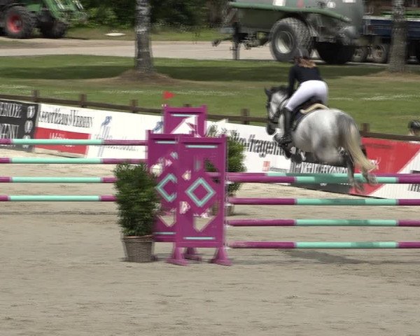 Reitturnier Westergellersen 2021