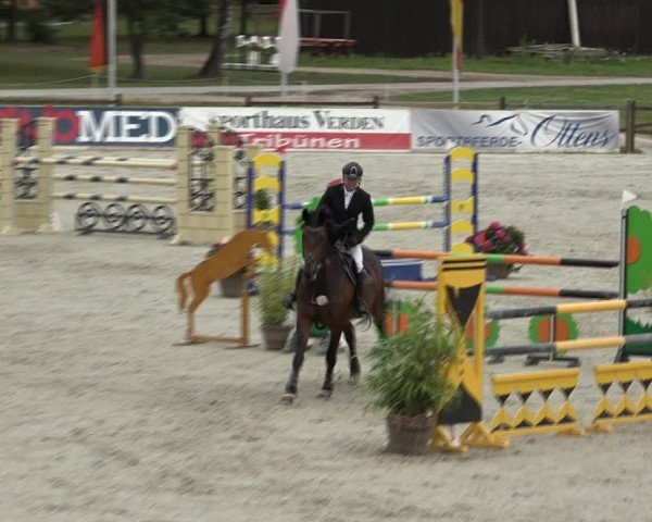 Reitturnier Westergellersen 2021