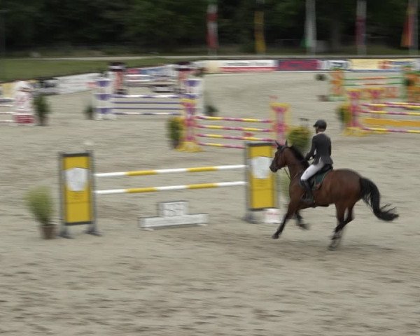 Reitturnier Westergellersen 2021