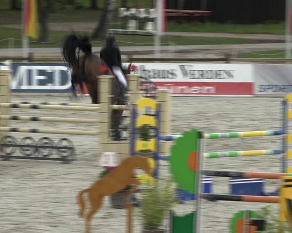 Reitturnier Westergellersen 2021