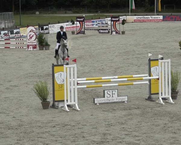 Reitturnier Westergellersen 2021