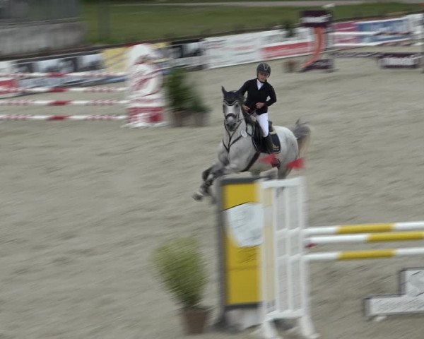 Reitturnier Westergellersen 2021