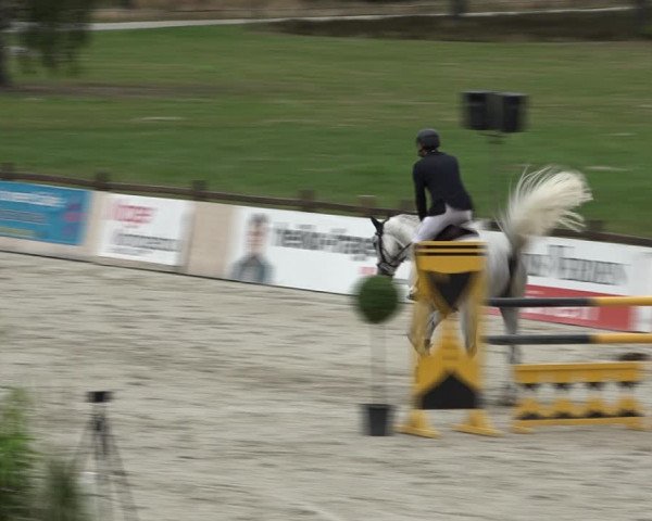 Reitturnier Westergellersen 2021