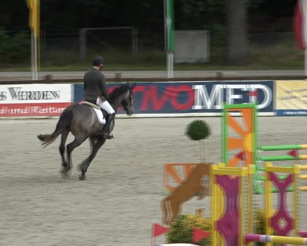 Reitturnier Westergellersen 2021