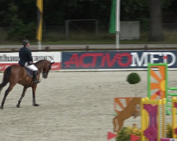 Reitturnier Westergellersen 2021
