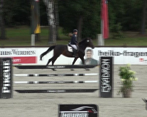 Reitturnier Westergellersen 2021
