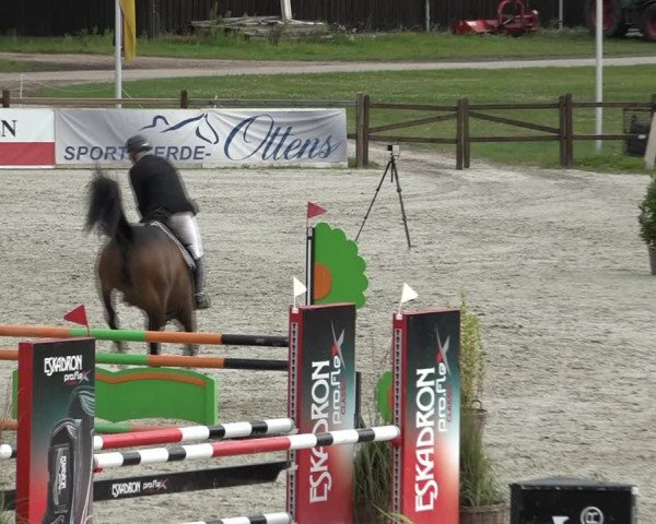 Reitturnier Westergellersen 2021