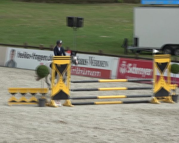 Reitturnier Westergellersen 2021