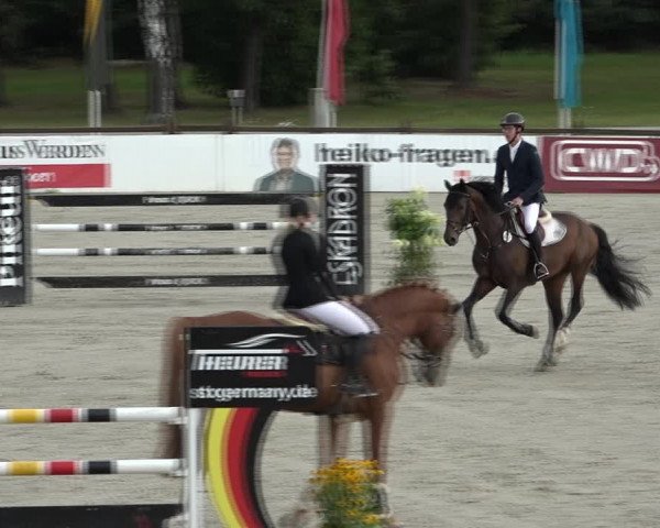 Reitturnier Westergellersen 2021