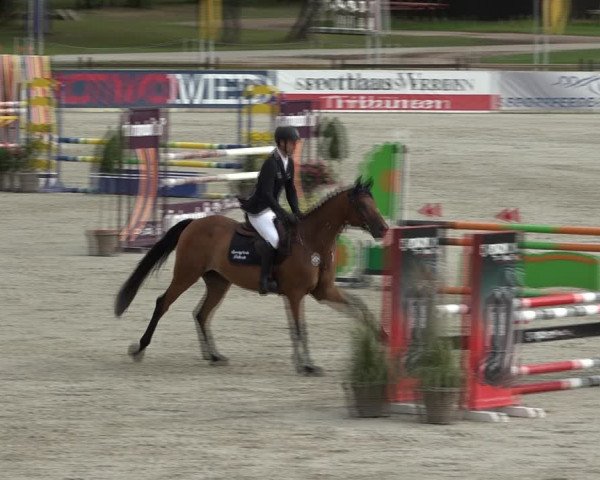 Reitturnier Westergellersen 2021