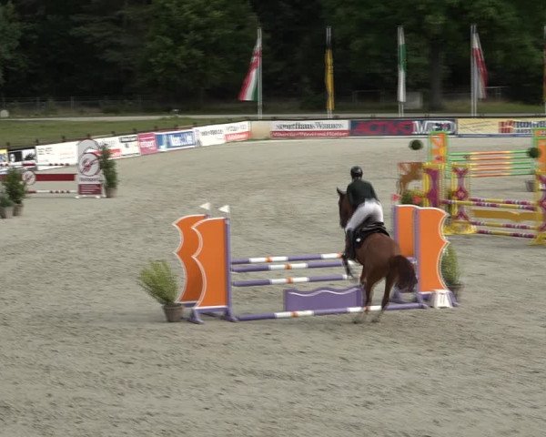 Reitturnier Westergellersen 2021