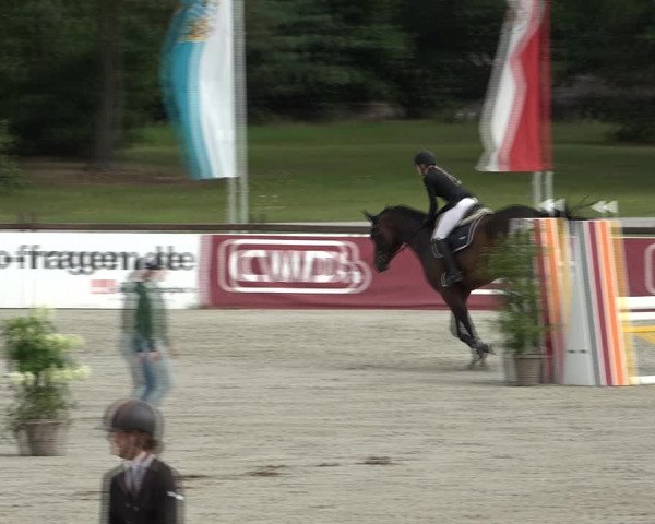 Reitturnier Westergellersen 2021