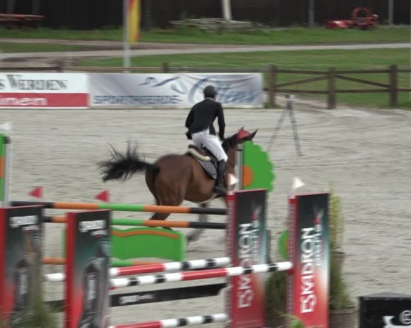 Reitturnier Westergellersen 2021