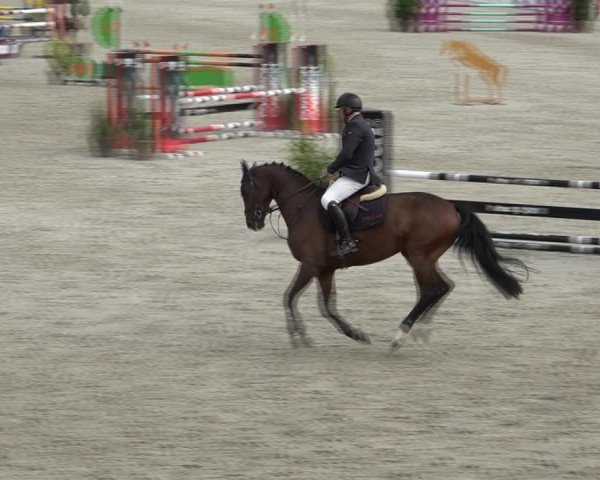 Reitturnier Westergellersen 2021