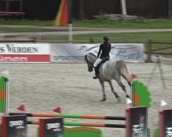 Reitturnier Westergellersen 2021