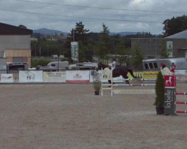 Reitturnier Gossau 2021