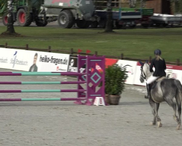 Reitturnier Westergellersen 2021