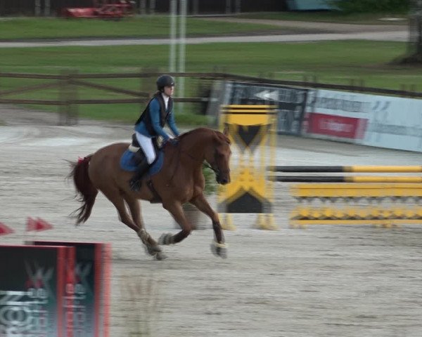 Reitturnier Westergellersen 2021