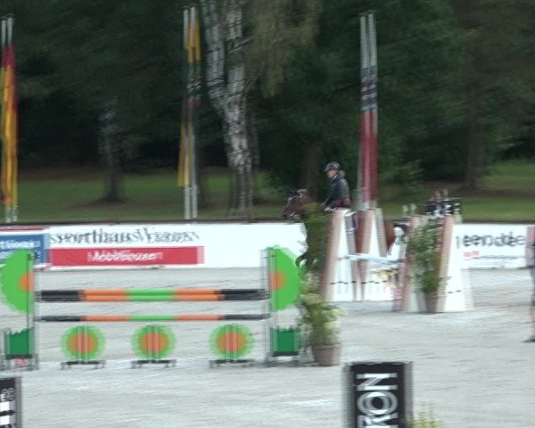 Reitturnier Westergellersen 2021