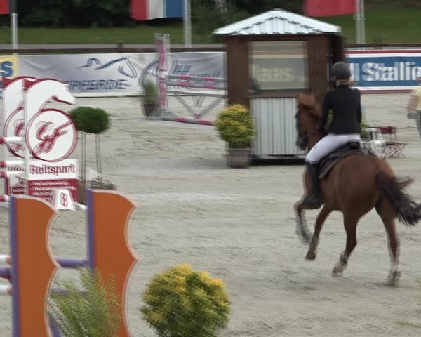 Reitturnier Westergellersen 2021