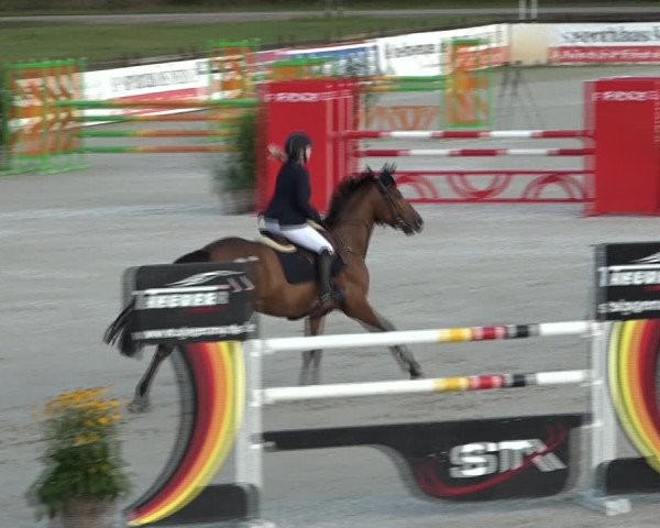 Reitturnier Westergellersen 2021