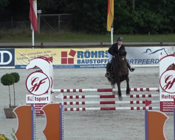 Reitturnier Westergellersen 2021