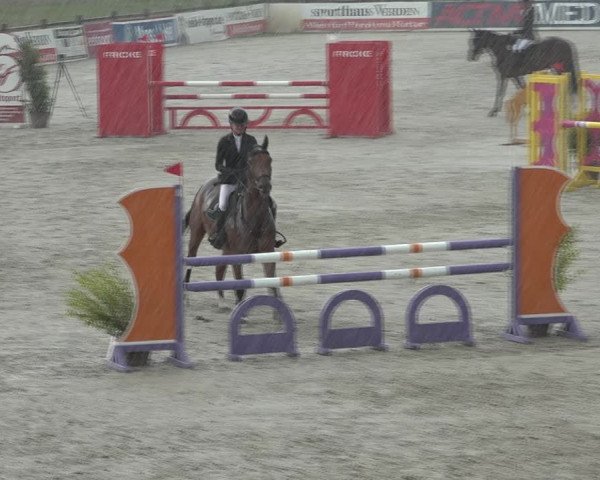 Reitturnier Westergellersen 2021