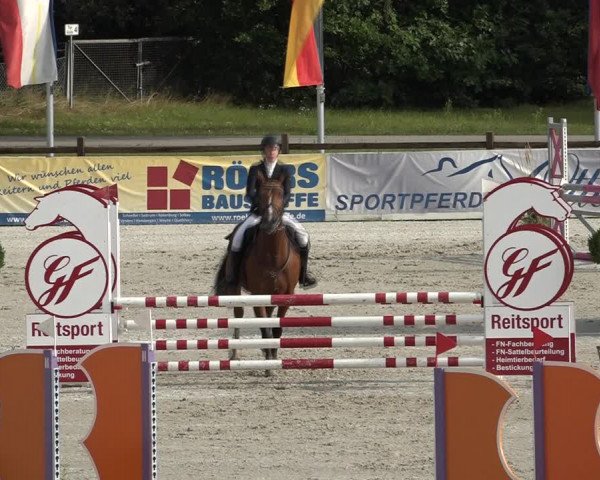 Reitturnier Westergellersen 2021