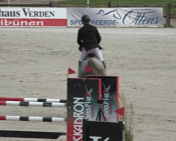 Reitturnier Westergellersen 2021