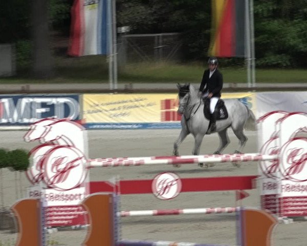 Reitturnier Westergellersen 2021
