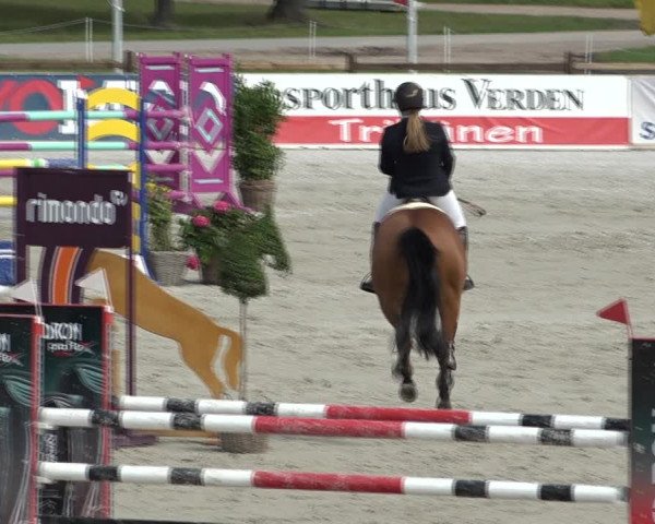 Reitturnier Westergellersen 2021