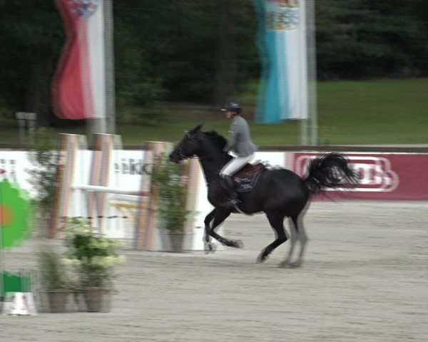 Reitturnier Westergellersen 2021