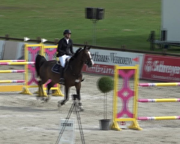 Reitturnier Westergellersen 2021