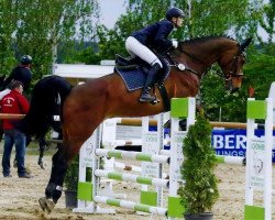 jumper Conte Corrado (Bavarian, 2000, from Country Cross)