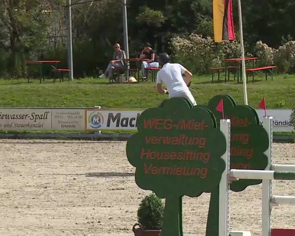 Maingau Classics in Grafenrheinfeld 2021