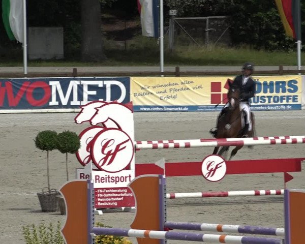 Reitturnier Westergellersen 2021