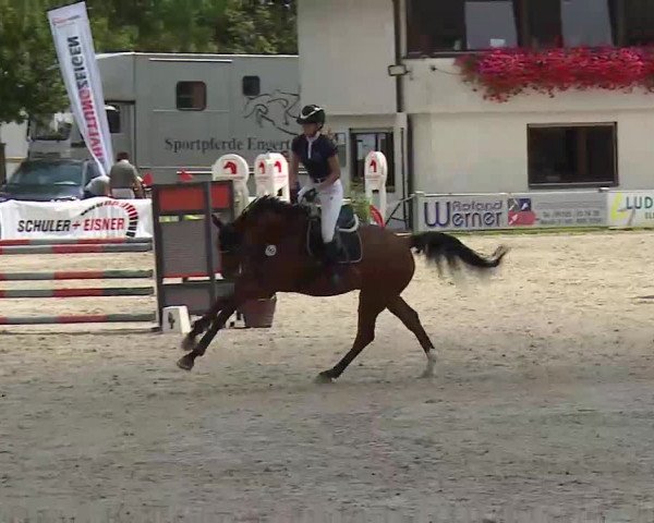 Maingau Classics in Grafenrheinfeld 2021