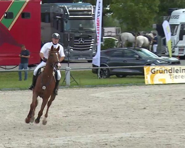 Maingau Classics in Grafenrheinfeld 2021