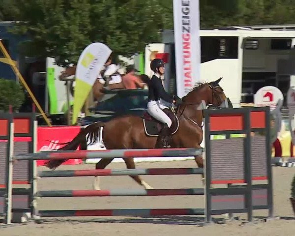 Maingau Classics in Grafenrheinfeld 2021
