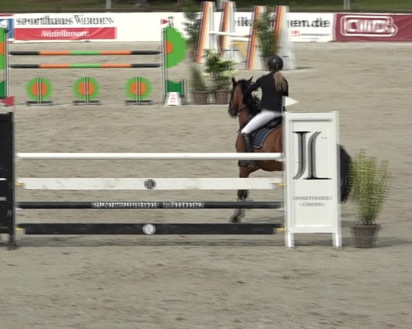 Reitturnier Westergellersen 2021