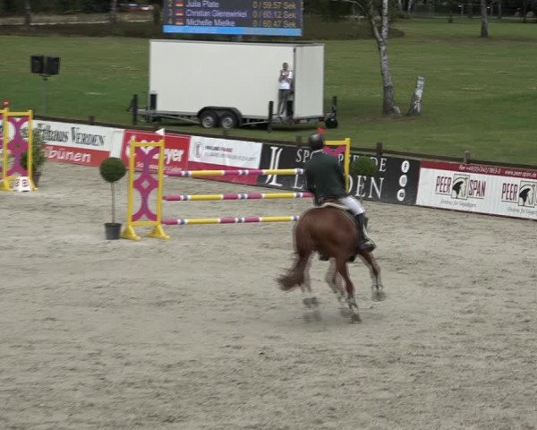 Reitturnier Westergellersen 2021