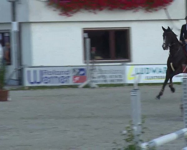 Maingau Classics in Grafenrheinfeld 2021