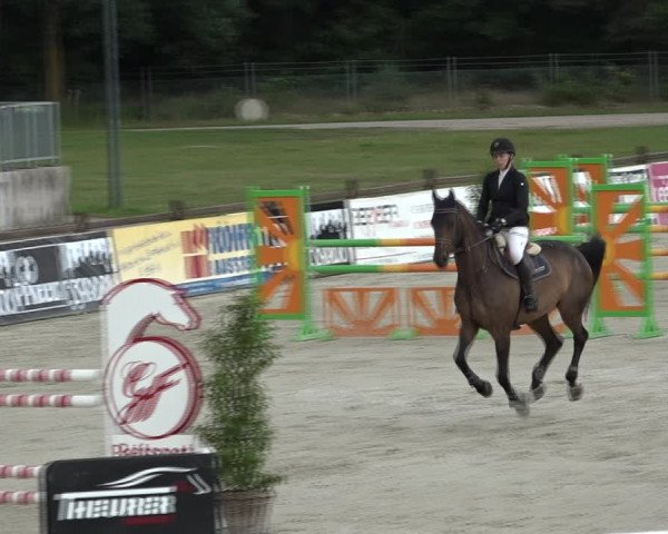 Reitturnier Westergellersen 2021