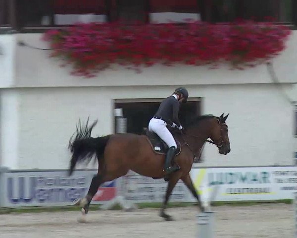 Maingau Classics in Grafenrheinfeld 2021